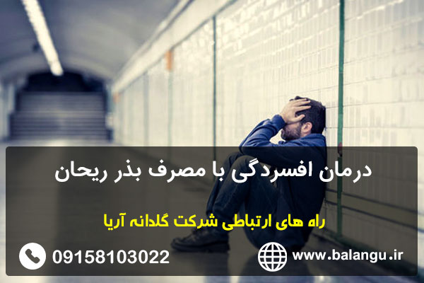 درمان افسردگی با مصرف بذر ریحان