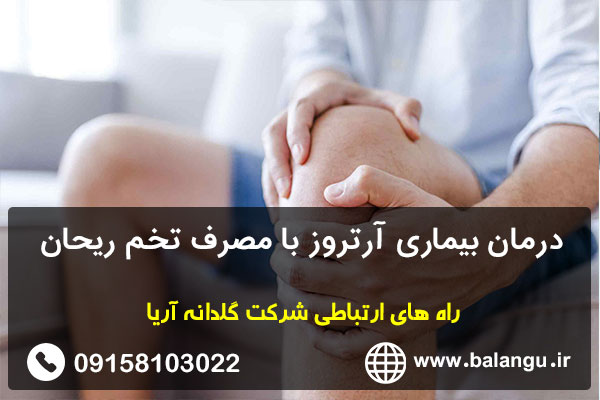 درمان بیماری آرتروز با مصرف تخم ریحان