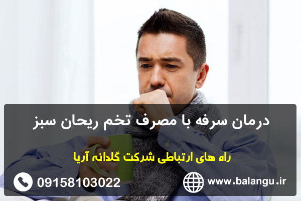 درمان سرفه با مصرف تخم ریحان سبز