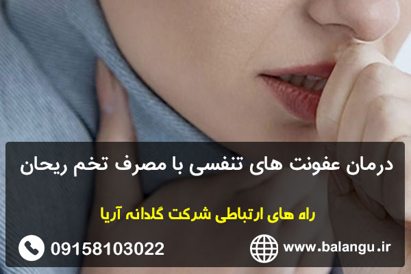 درمان عفونت های تنفسی با مصرف تخم ریحان