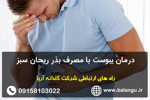 درمان یبوست با مصرف بذر ریحان سبز