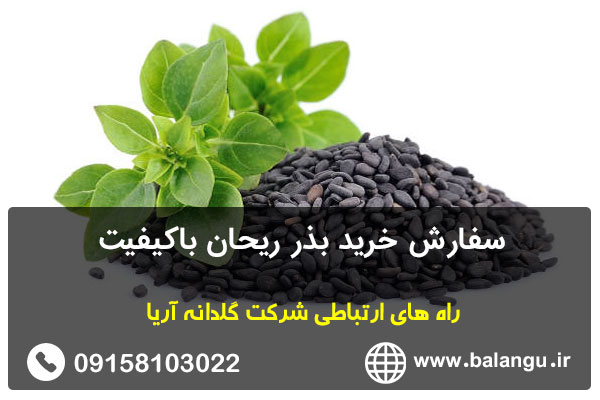 سفارش خرید بذر ریحان باکیفیت