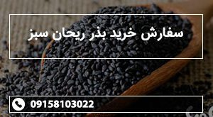 سفارش خرید بذر ریحان سبز