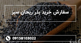 سفارش خرید بذر ریحان سبز