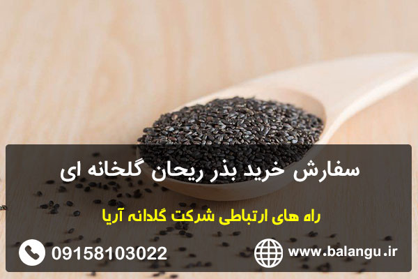 سفارش خرید بذر ریحان گلخانه ای