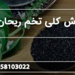 سفارش کلی تخم ریحان سبز