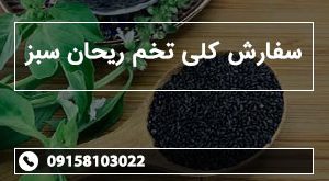 سفارش کلی تخم ریحان سبز