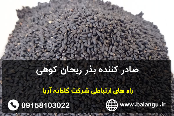 صادر کننده بذر ریحان کوهی