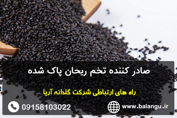 صادر کننده تخم ریحان پاک شده