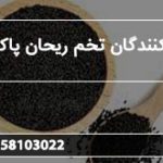 صادر کنندگان تخم ریحان پاک شده