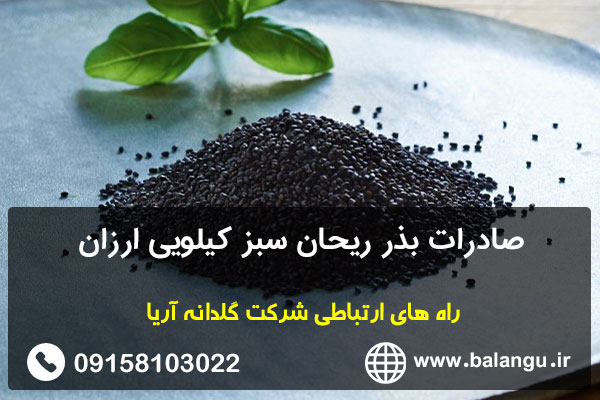 صادرات بذر ریحان سبز کیلویی ارزان