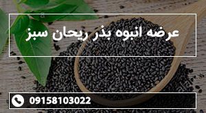 عرضه انبوه بذر ریحان سبز