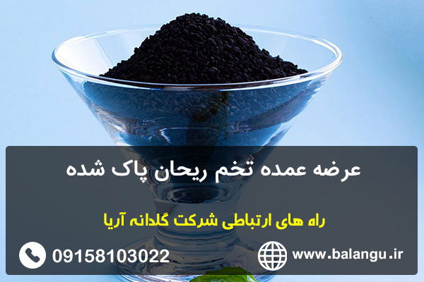 عرضه عمده تخم ریحان پاک شده