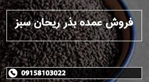 فروش عمده بذر ریحان سبز