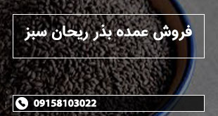 فروش عمده بذر ریحان سبز