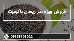 بذر ریحان کوهی