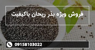 بذر ریحان کوهی