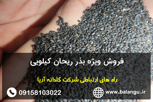 فروش ویژه بذر ریحان کیلویی