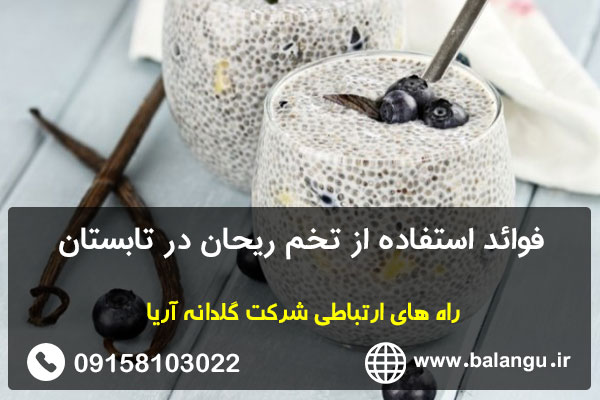 فوائد استفاده از تخم ریحان در تابستان