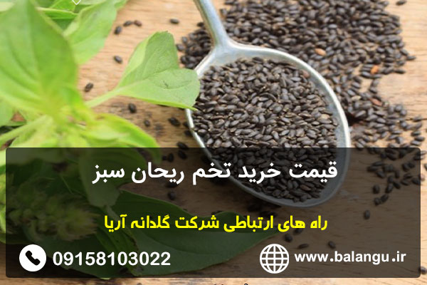 قیمت خرید تخم ریحان سبز