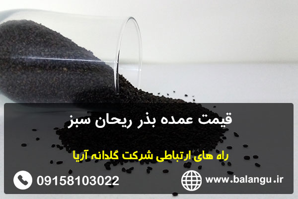 قیمت عمده بذر ریحان سبز