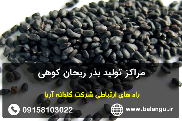 مراکز تولید بذر ریحان کوهی