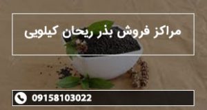 مراکز فروش بذر ریحان کیلویی