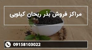 مراکز فروش بذر ریحان کیلویی