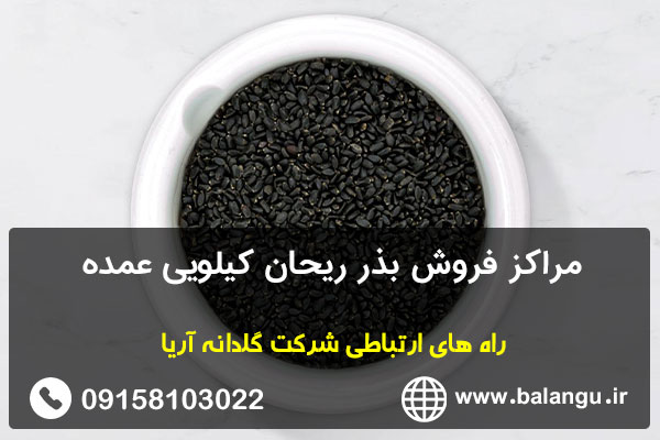 مراکز فروش بذر ریحان کیلویی عمده