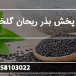 مراکز پخش بذر ریحان گلخانه ای