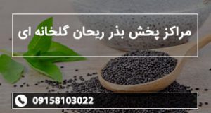 مراکز پخش بذر ریحان گلخانه ای