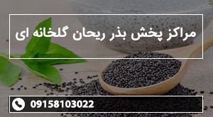 مراکز پخش بذر ریحان گلخانه ای
