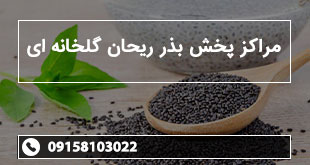 مراکز پخش بذر ریحان گلخانه ای