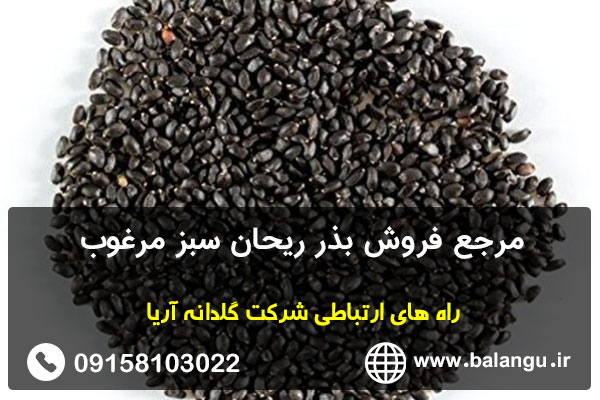 مرجع فروش بذر ریحان سبز مرغوب