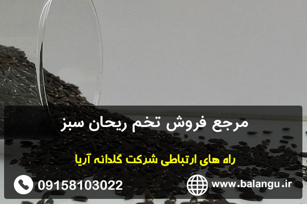 مرجع فروش تخم ریحان سبز