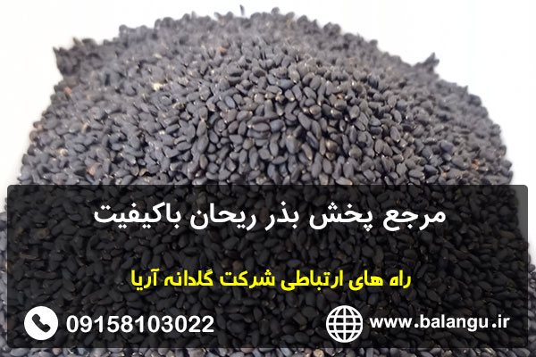 مرجع پخش بذر ریحان باکیفیت