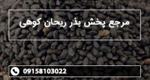 مرجع پخش بذر ریحان کوهی
