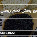 مرجع پخش تخم ریحان اعلا