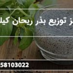 مرکز توزیع بذر ریحان کیلویی
