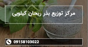 مرکز توزیع بذر ریحان کیلویی