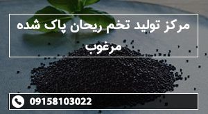 مرکز تولید تخم ریحان پاک شده مرغوب