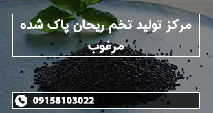 مرکز تولید تخم ریحان پاک شده مرغوب