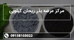 مرکز عرضه بذر ریحان کیلویی
