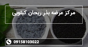 مرکز عرضه بذر ریحان کیلویی