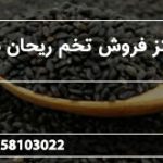 مرکز فروش تخم ریحان سبز