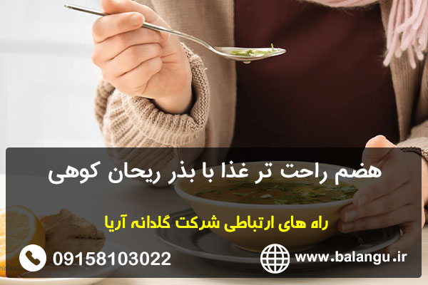 هضم راحت تر غذا با بذر ریحان کوهی