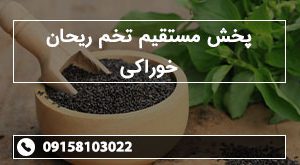 پخش مستقیم تخم ریحان خوراکی