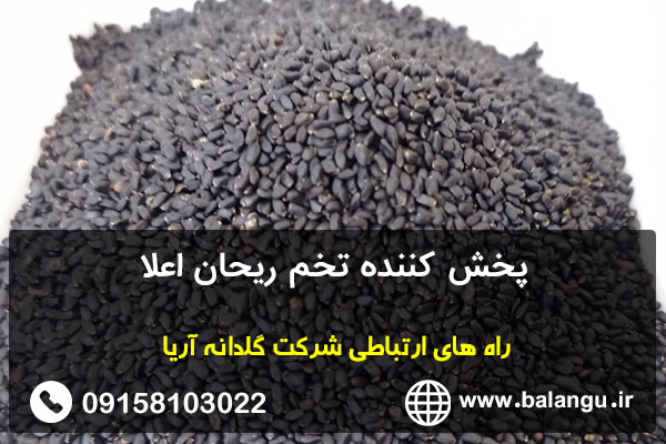 پخش کننده تخم ریحان اعلا