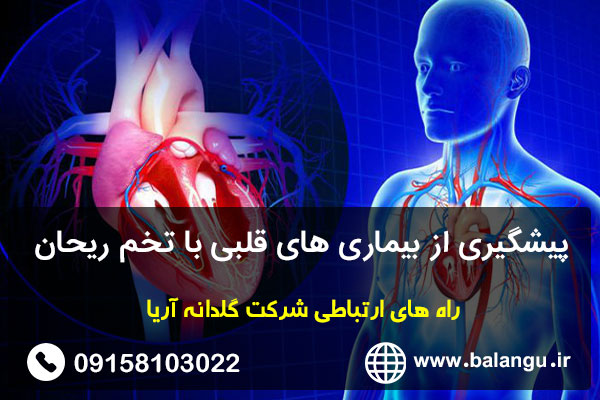 پیشگیری از بیماری های قلبی با تخم ریحان