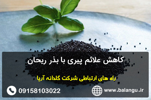 کاهش علائم پیری با بذر ریحان